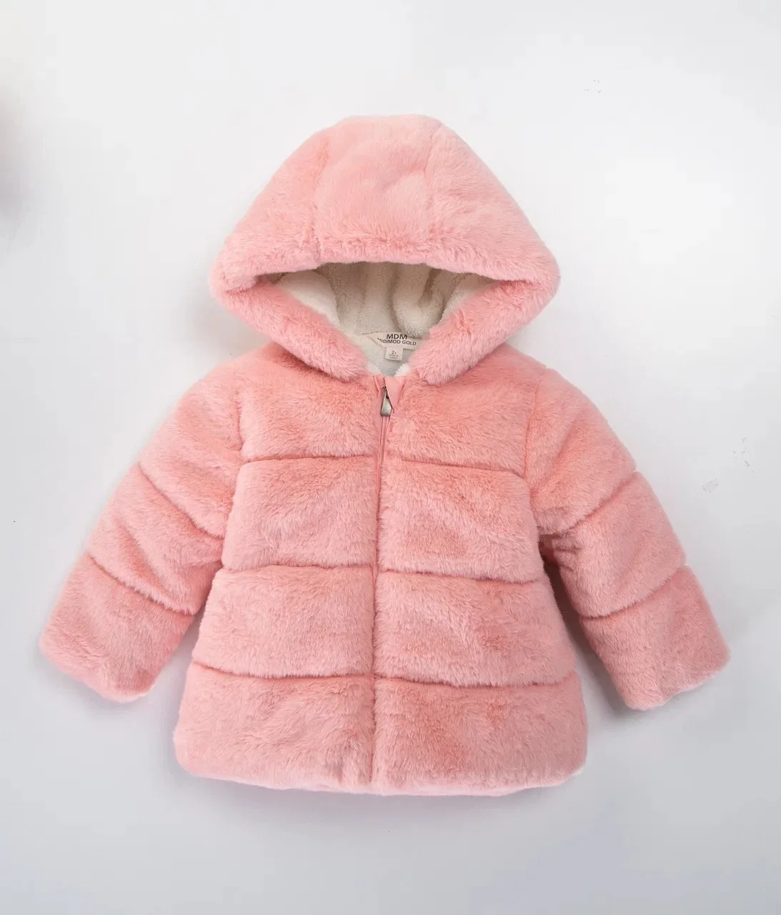 565128772 18075726383515675 3537748651640189818 n