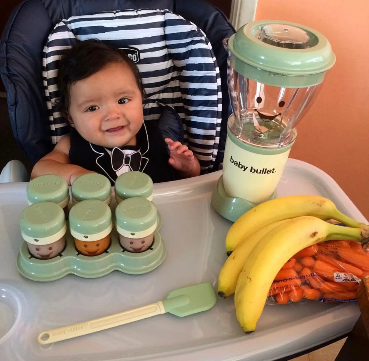 baby bullet set za pripremu hrane za bebe